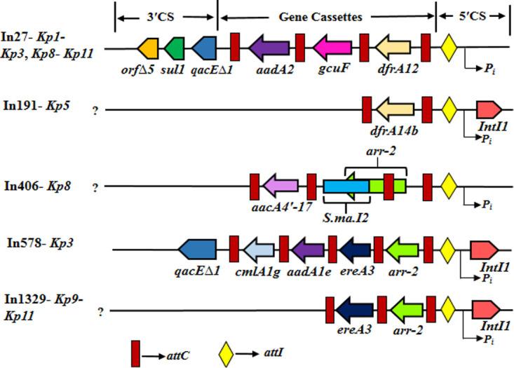 https://cdn.ncbi.nlm.nih.gov/pmc/blobs/4f62/7845606/8d58a9dfc7dc/mSphere.01156-20-f003.jpg
