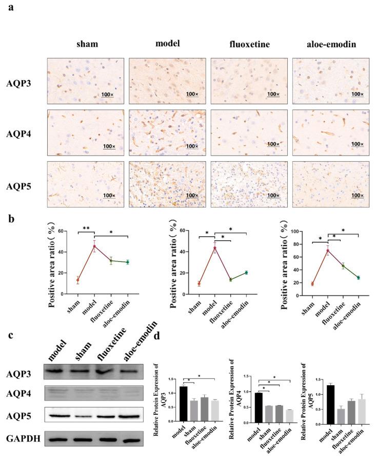 https://cdn.ncbi.nlm.nih.gov/pmc/blobs/4f66/10048947/064b2fa8104b/ijms-24-05206-g003.jpg
