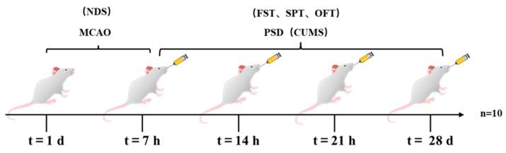 https://cdn.ncbi.nlm.nih.gov/pmc/blobs/4f66/10048947/59886f75e871/ijms-24-05206-g006.jpg