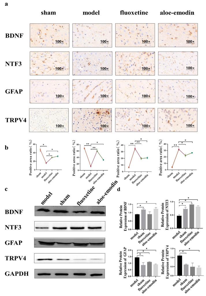 https://cdn.ncbi.nlm.nih.gov/pmc/blobs/4f66/10048947/bd9d5ba6ebe7/ijms-24-05206-g004.jpg