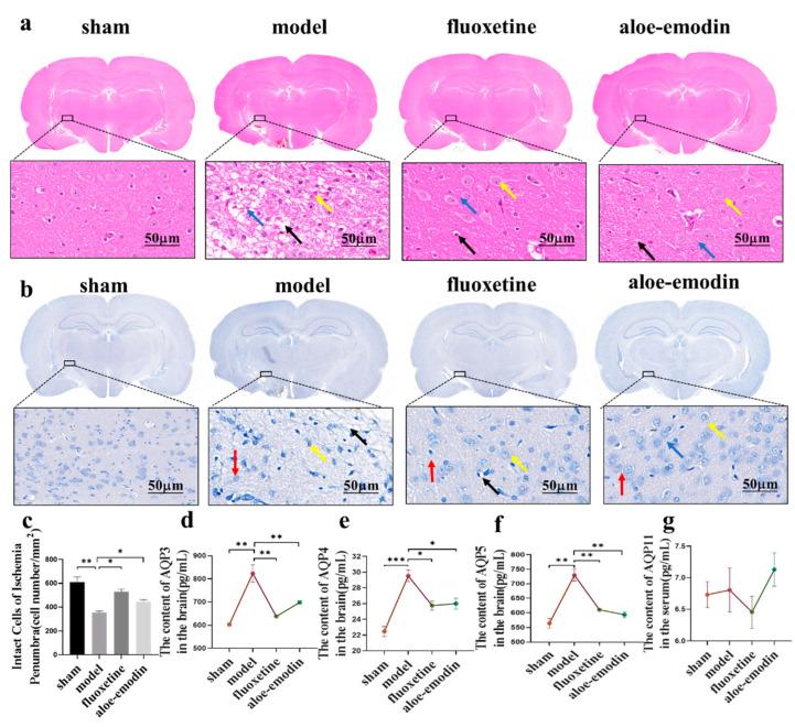 https://cdn.ncbi.nlm.nih.gov/pmc/blobs/4f66/10048947/d90aa36a2f73/ijms-24-05206-g002.jpg