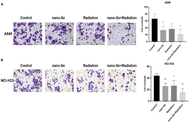 https://cdn.ncbi.nlm.nih.gov/pmc/blobs/4f66/7701302/23c99f0860cc/fbioe-08-598997-g005.jpg