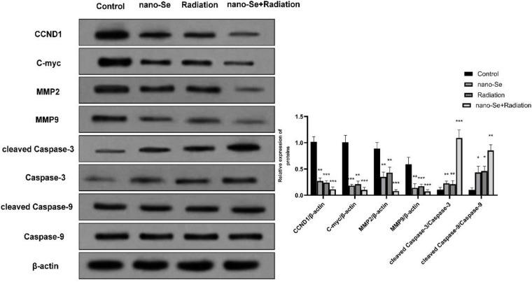 https://cdn.ncbi.nlm.nih.gov/pmc/blobs/4f66/7701302/4b346b89623e/fbioe-08-598997-g007.jpg