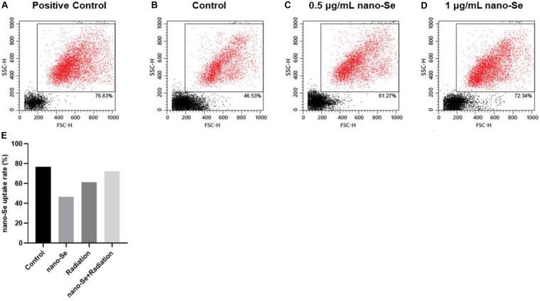 https://cdn.ncbi.nlm.nih.gov/pmc/blobs/4f66/7701302/db4d4fa829a0/fbioe-08-598997-g003.jpg