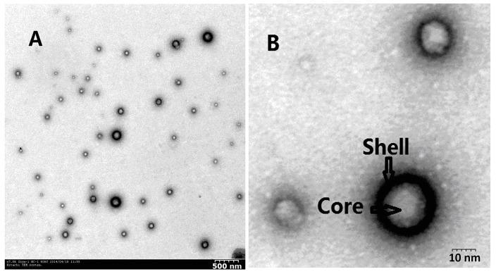 https://cdn.ncbi.nlm.nih.gov/pmc/blobs/4f68/4227178/97b9f6f68a82/ijms-15-17565-g002.jpg