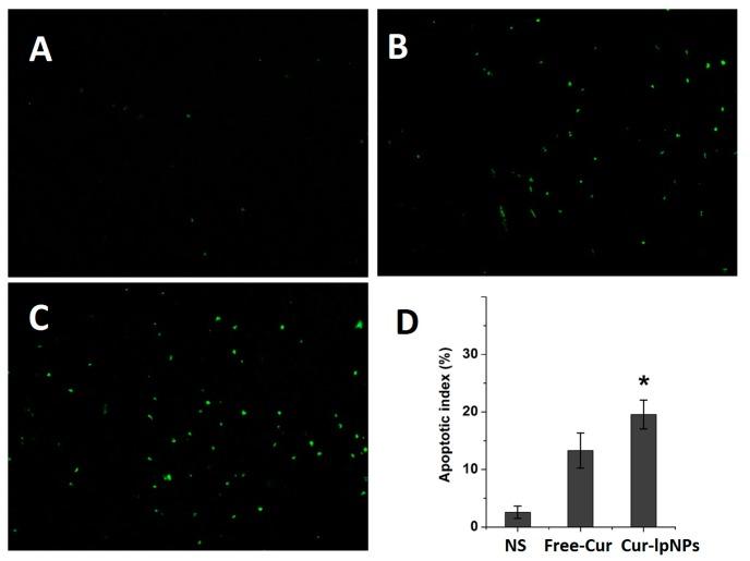 https://cdn.ncbi.nlm.nih.gov/pmc/blobs/4f68/4227178/c380876ae0fb/ijms-15-17565-g007.jpg