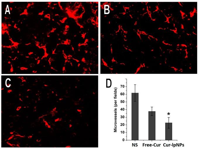 https://cdn.ncbi.nlm.nih.gov/pmc/blobs/4f68/4227178/fecc79a52e58/ijms-15-17565-g008.jpg