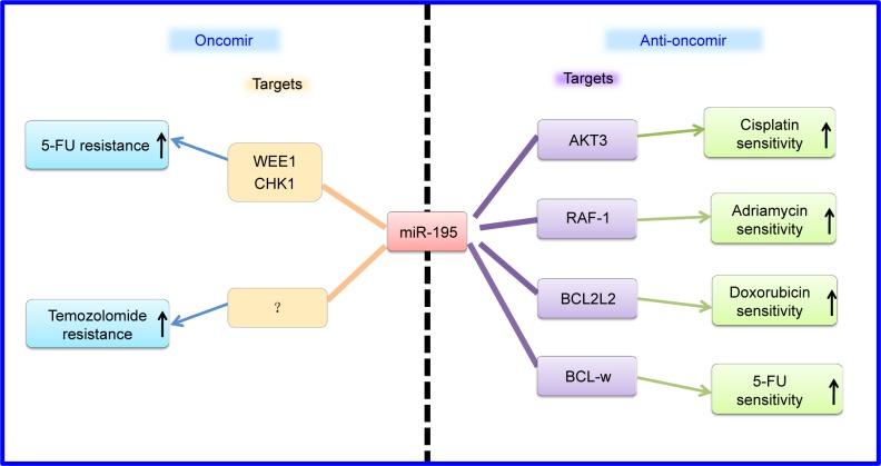 https://cdn.ncbi.nlm.nih.gov/pmc/blobs/4f68/6200091/a087972a1ce0/ott-11-7109Fig3.jpg