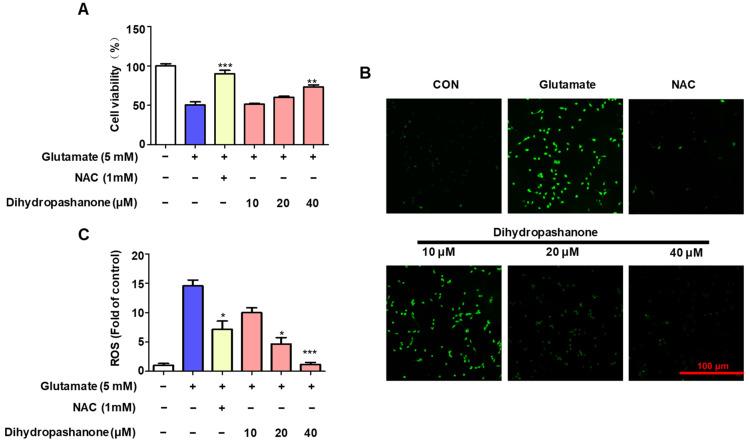 https://cdn.ncbi.nlm.nih.gov/pmc/blobs/4f6c/10931615/01f28cfd9698/ijms-25-02545-g006.jpg
