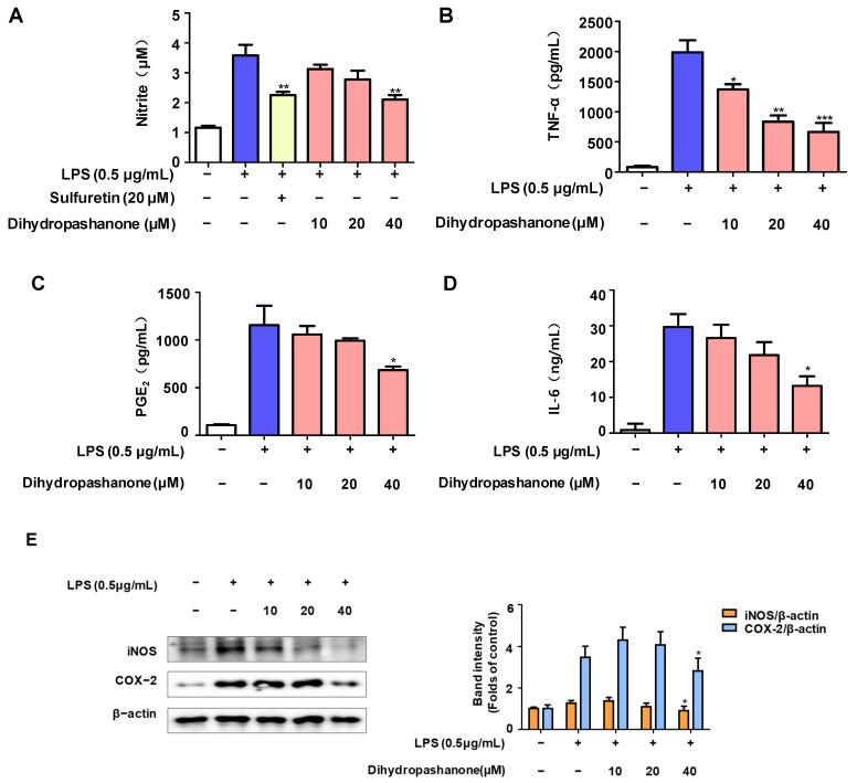 https://cdn.ncbi.nlm.nih.gov/pmc/blobs/4f6c/10931615/020dc8c44cb3/ijms-25-02545-g004.jpg