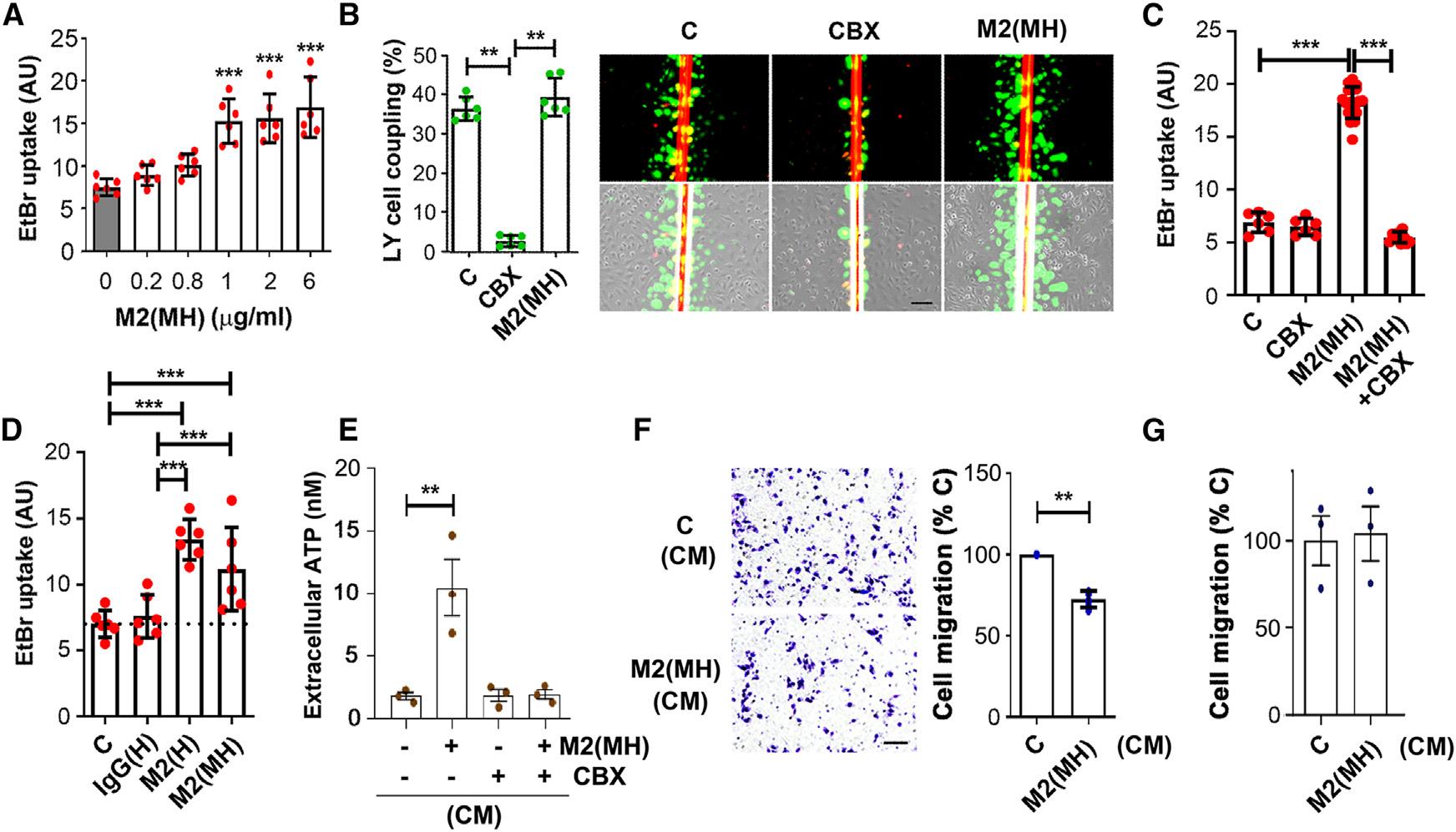 https://cdn.ncbi.nlm.nih.gov/pmc/blobs/4f6c/11380445/3d7e551c62b3/nihms-2011865-f0003.jpg