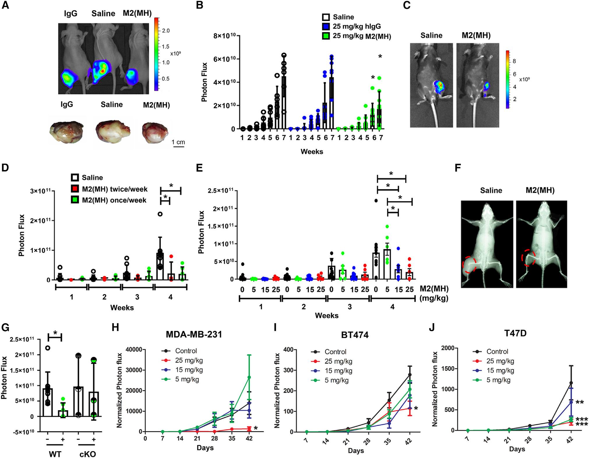 https://cdn.ncbi.nlm.nih.gov/pmc/blobs/4f6c/11380445/95b7363b85fd/nihms-2011865-f0005.jpg