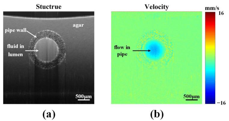 https://cdn.ncbi.nlm.nih.gov/pmc/blobs/4f71/10490597/ef7fccd30594/sensors-23-07597-g002.jpg