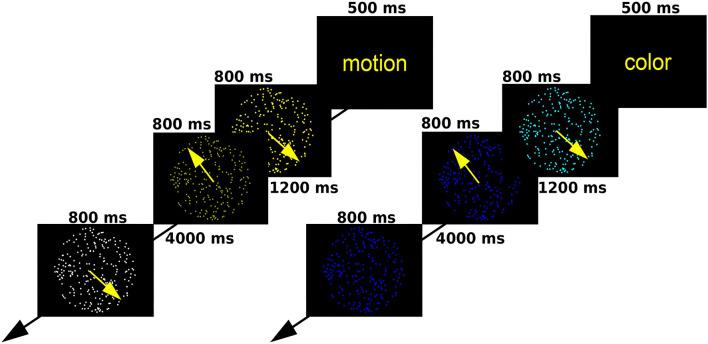 https://cdn.ncbi.nlm.nih.gov/pmc/blobs/4f71/9396258/b006459c1cea/fneur-13-927481-g0001.jpg