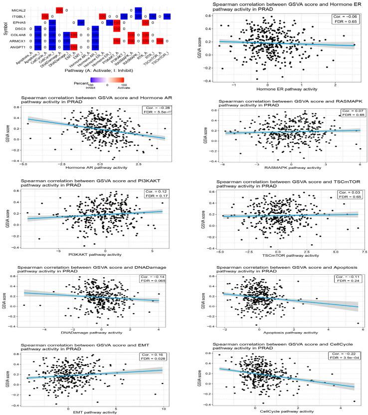 https://cdn.ncbi.nlm.nih.gov/pmc/blobs/4f74/12429809/42e0465601f3/ijms-26-08575-g003.jpg
