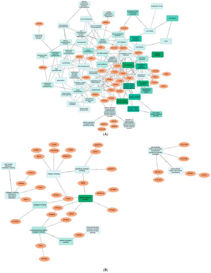 https://cdn.ncbi.nlm.nih.gov/pmc/blobs/4f74/12429809/bb294fe03f15/ijms-26-08575-g004.jpg