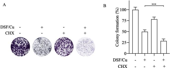 https://cdn.ncbi.nlm.nih.gov/pmc/blobs/4f76/10788306/13532a096c05/mmcfigs7.jpg