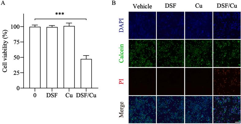 https://cdn.ncbi.nlm.nih.gov/pmc/blobs/4f76/10788306/2cfa7770d246/mmcfigs1.jpg