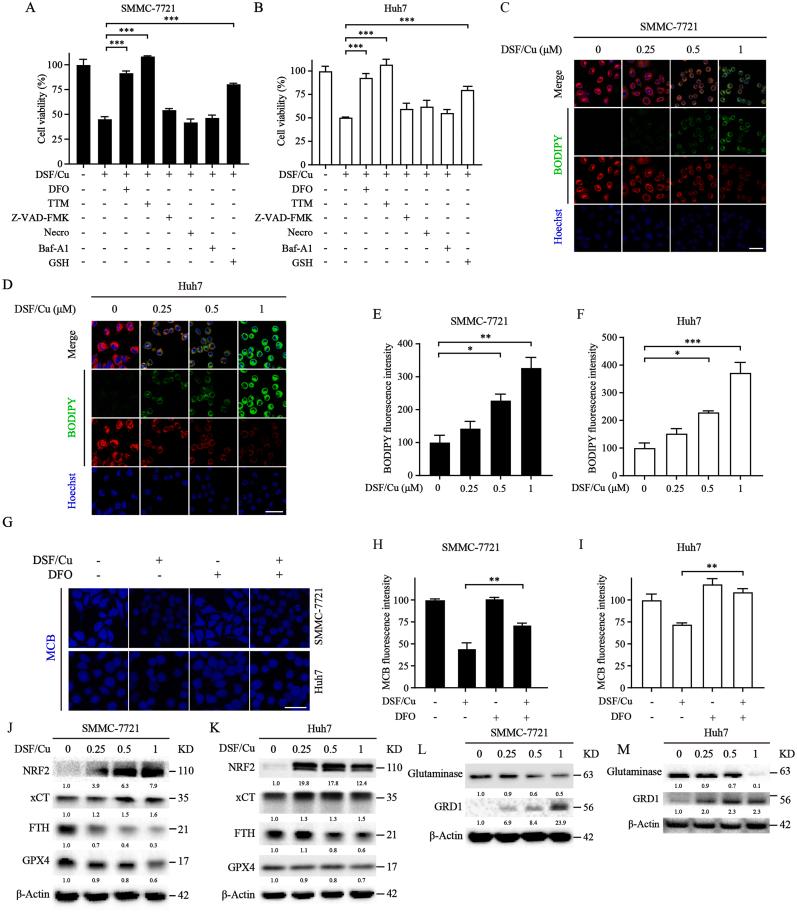https://cdn.ncbi.nlm.nih.gov/pmc/blobs/4f76/10788306/3713ef5de75d/gr3.jpg