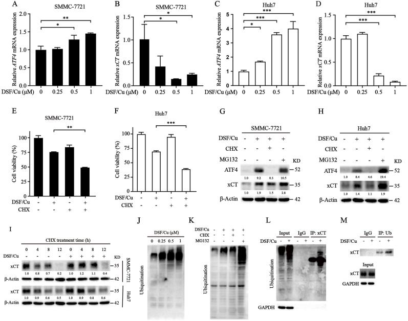 https://cdn.ncbi.nlm.nih.gov/pmc/blobs/4f76/10788306/404239416849/gr5.jpg