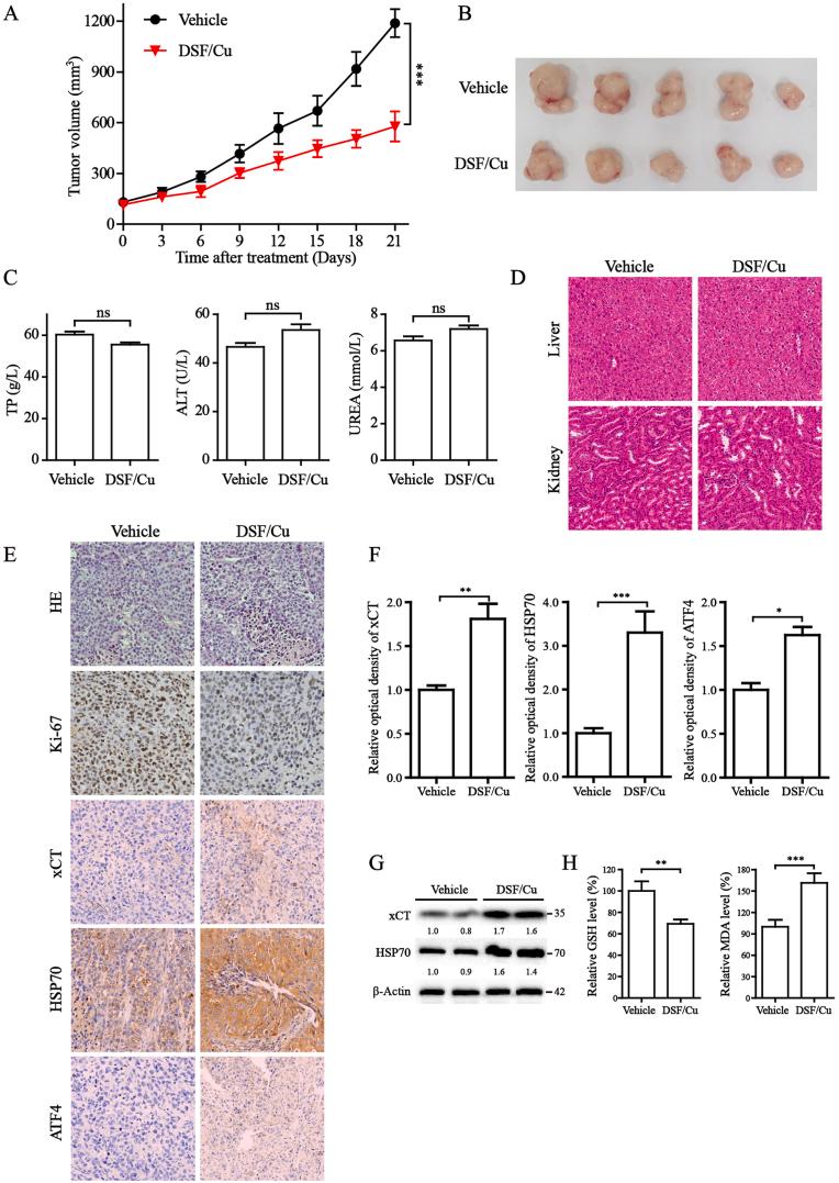 https://cdn.ncbi.nlm.nih.gov/pmc/blobs/4f76/10788306/41301ea33886/gr8.jpg