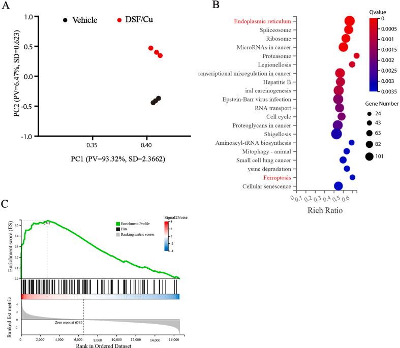 https://cdn.ncbi.nlm.nih.gov/pmc/blobs/4f76/10788306/42585a7760bd/mmcfigs2.jpg
