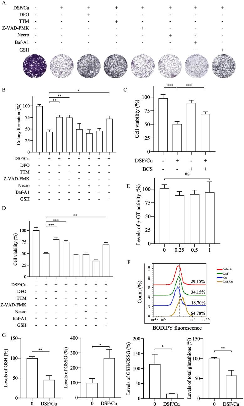 https://cdn.ncbi.nlm.nih.gov/pmc/blobs/4f76/10788306/486e1a617a8b/mmcfigs3.jpg