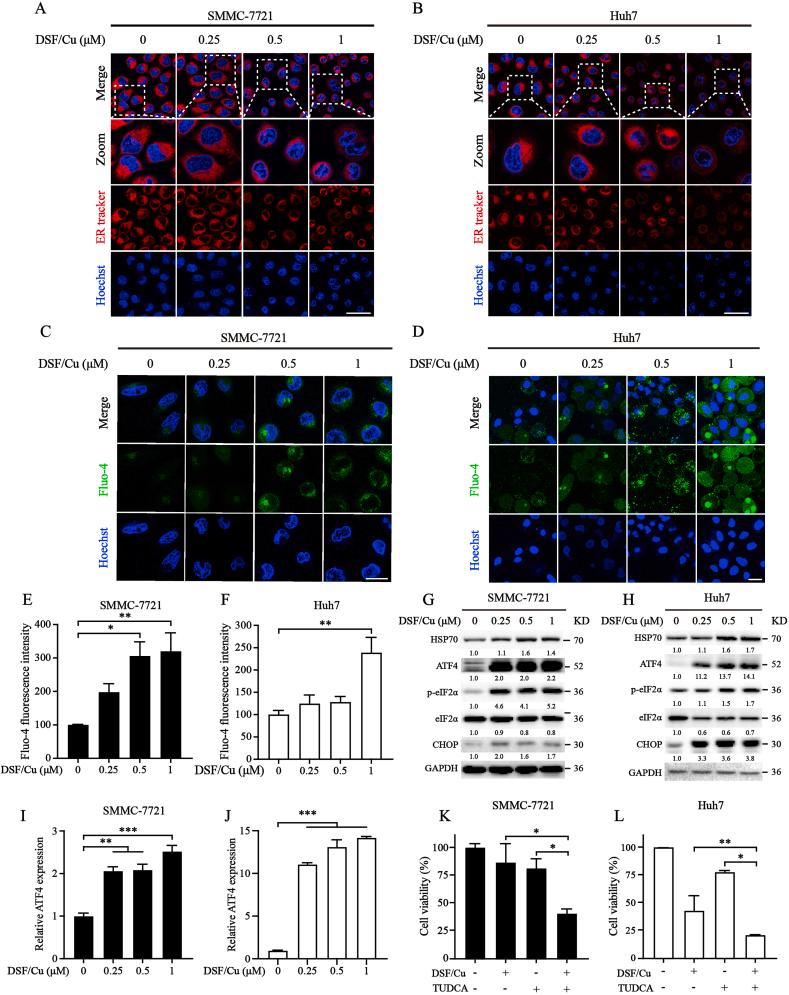 https://cdn.ncbi.nlm.nih.gov/pmc/blobs/4f76/10788306/4d40a6d535bc/gr2.jpg