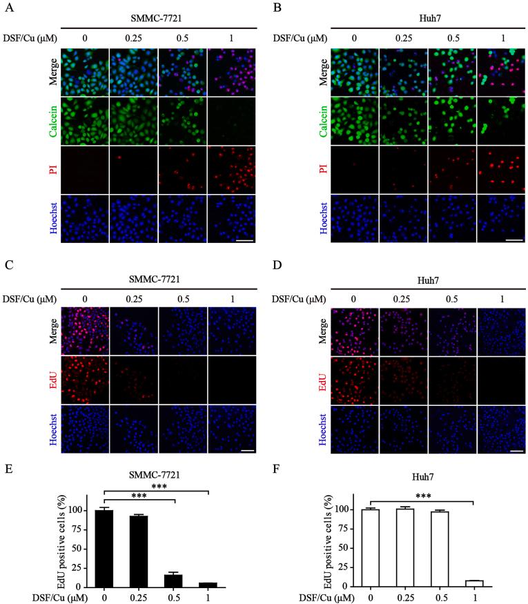 https://cdn.ncbi.nlm.nih.gov/pmc/blobs/4f76/10788306/673d4a46d5d2/gr1.jpg