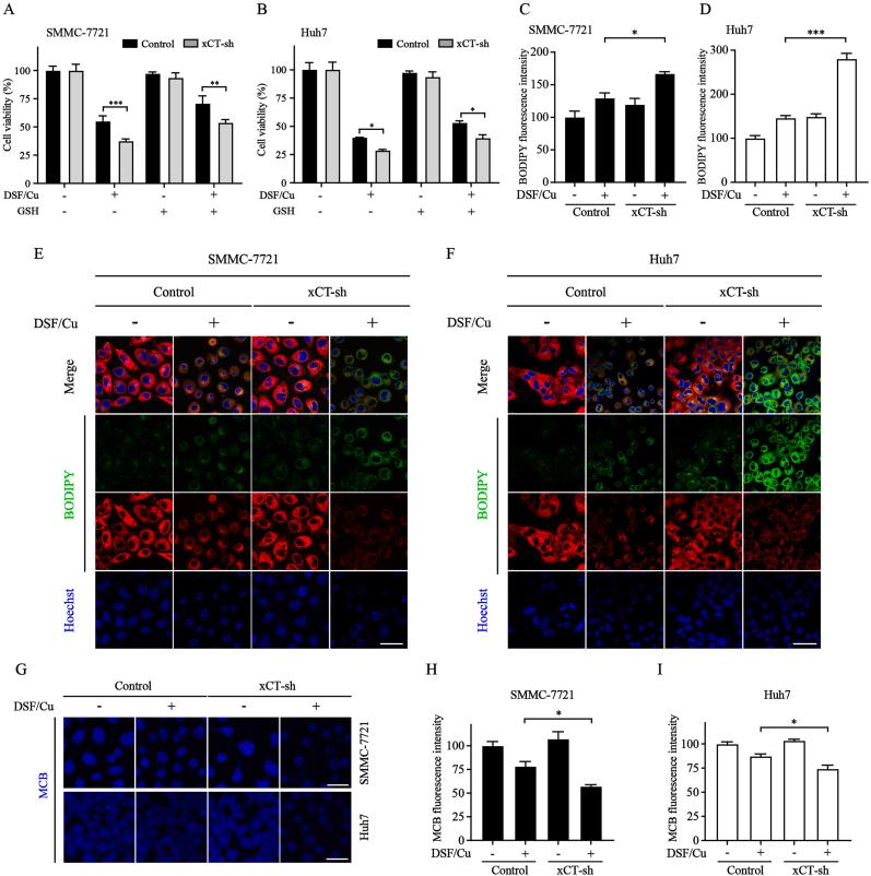 https://cdn.ncbi.nlm.nih.gov/pmc/blobs/4f76/10788306/9313dd4ea603/gr7.jpg