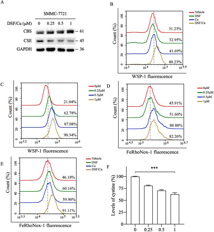 https://cdn.ncbi.nlm.nih.gov/pmc/blobs/4f76/10788306/978bad9dfc75/mmcfigs5.jpg