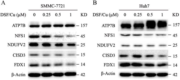 https://cdn.ncbi.nlm.nih.gov/pmc/blobs/4f76/10788306/a7494544fb25/mmcfigs4.jpg