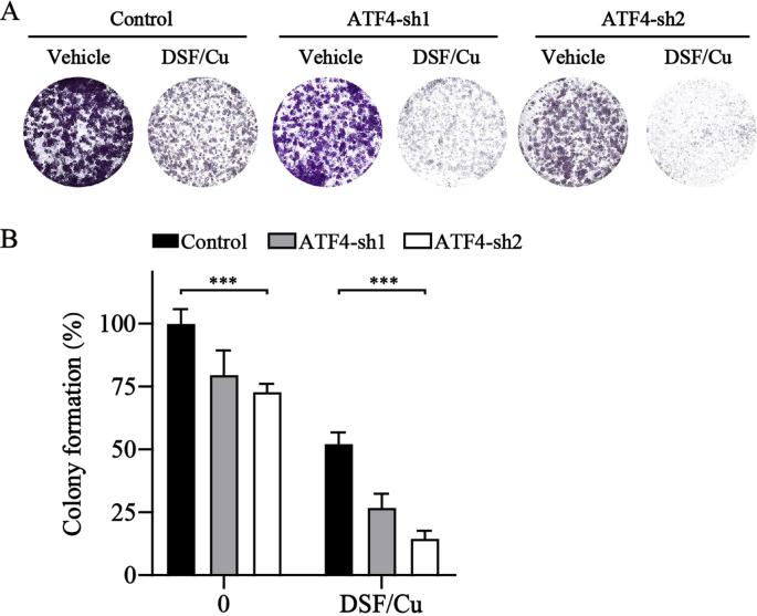 https://cdn.ncbi.nlm.nih.gov/pmc/blobs/4f76/10788306/bc0f8a818559/mmcfigs6.jpg