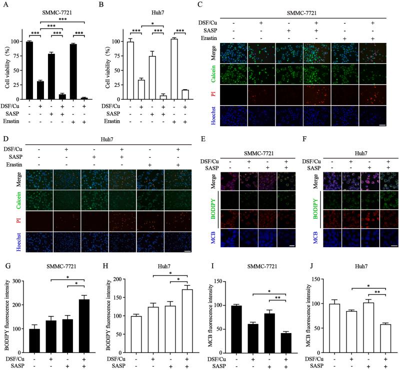 https://cdn.ncbi.nlm.nih.gov/pmc/blobs/4f76/10788306/f9634bf3f6e7/gr6.jpg