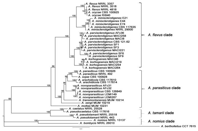 https://cdn.ncbi.nlm.nih.gov/pmc/blobs/4f79/5705968/dc3e6fa5aefc/toxins-09-00353-g001.jpg