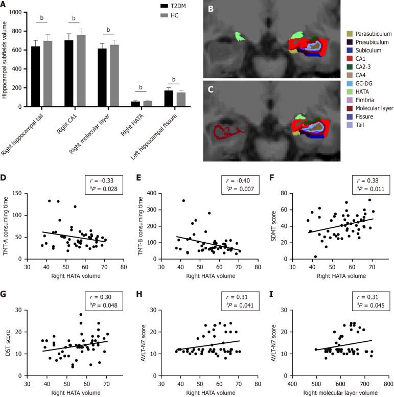 https://cdn.ncbi.nlm.nih.gov/pmc/blobs/4f7d/12278078/ba17aa1462a7/wjd-16-7-104424-g001.jpg