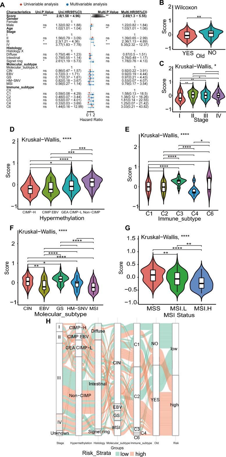 https://cdn.ncbi.nlm.nih.gov/pmc/blobs/4f7e/11269723/cadf5986e02f/41598_2024_68054_Fig4_HTML.jpg