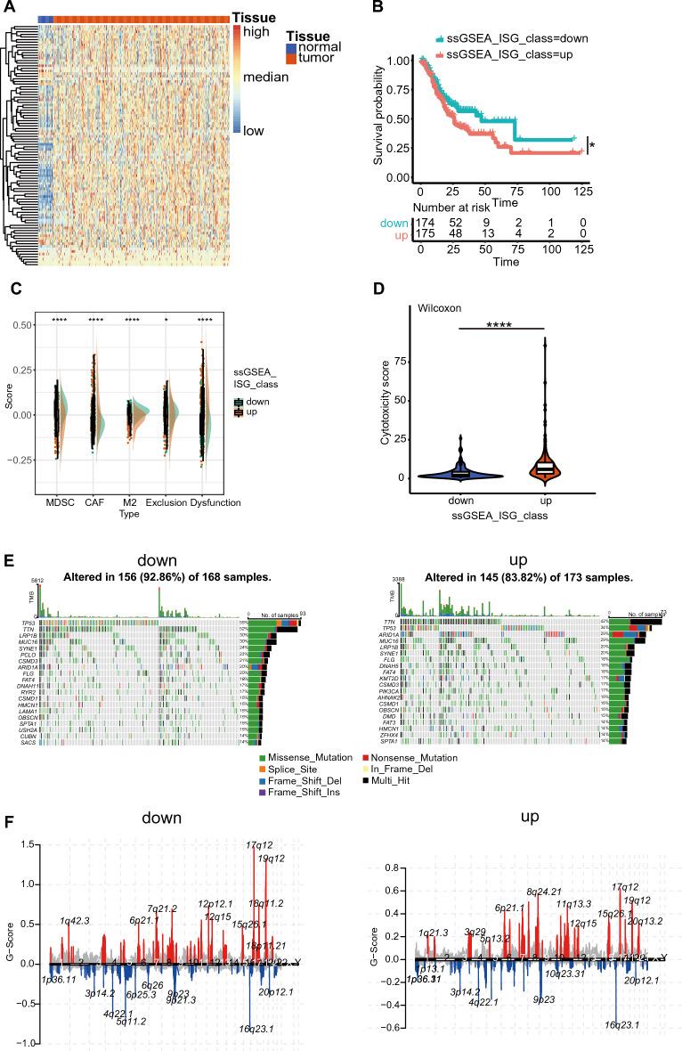 https://cdn.ncbi.nlm.nih.gov/pmc/blobs/4f7e/11269723/db993d288c07/41598_2024_68054_Fig1_HTML.jpg