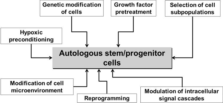 https://cdn.ncbi.nlm.nih.gov/pmc/blobs/4f7e/4497652/72531315ec8a/fig-2.jpg