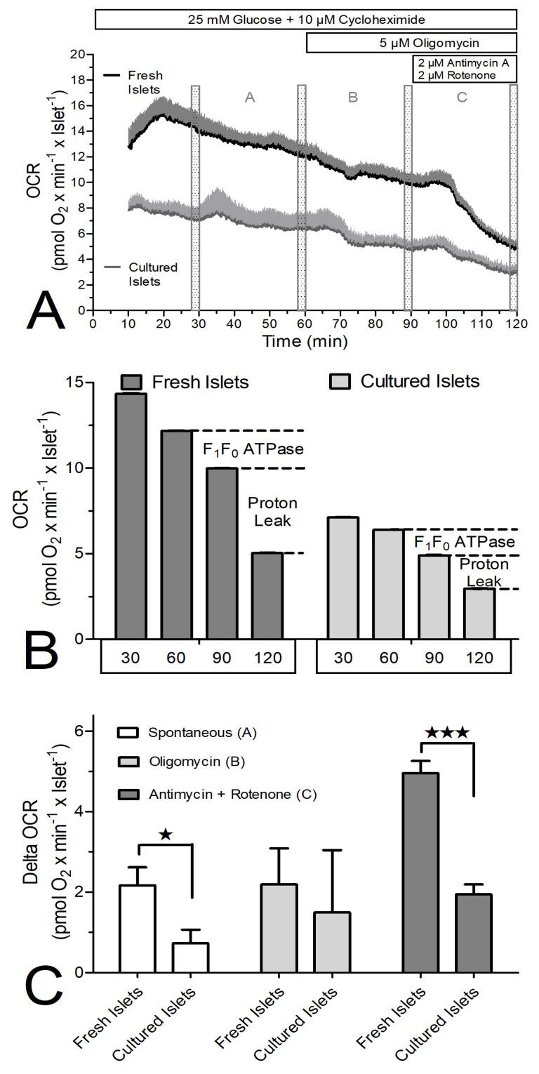 https://cdn.ncbi.nlm.nih.gov/pmc/blobs/4f7f/11351158/1dfc5034f35a/biomedicines-12-01747-g007.jpg