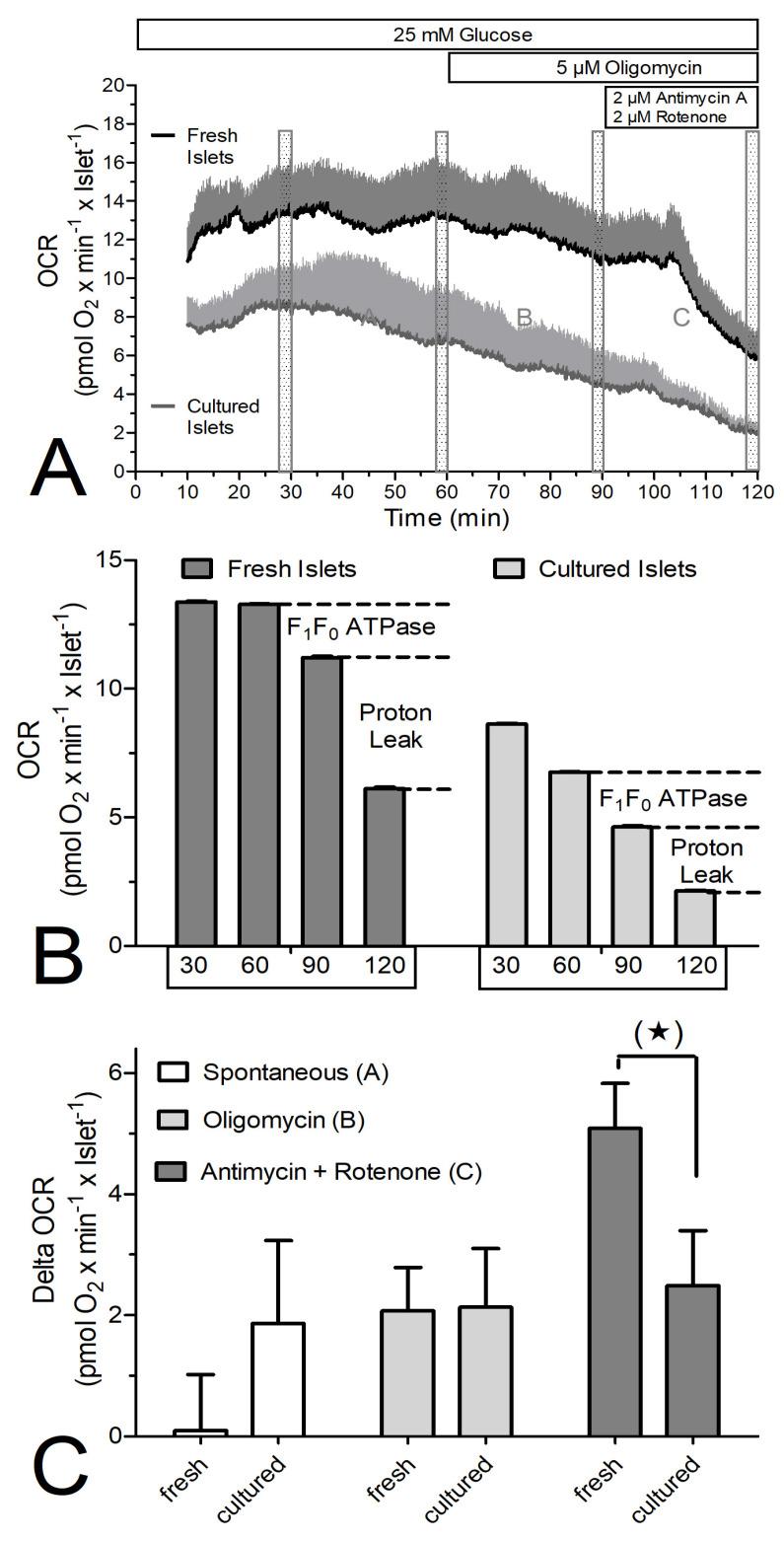 https://cdn.ncbi.nlm.nih.gov/pmc/blobs/4f7f/11351158/6af078819d50/biomedicines-12-01747-g006.jpg