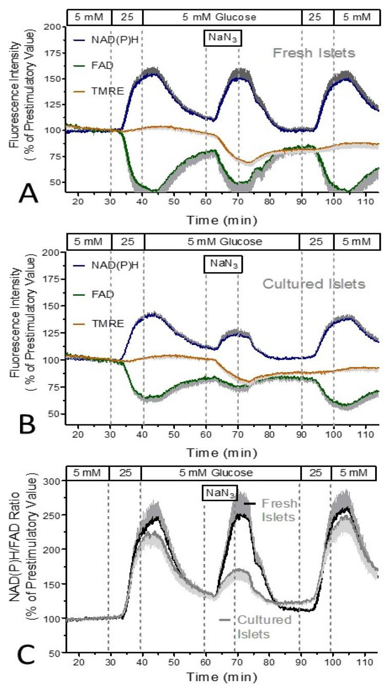 https://cdn.ncbi.nlm.nih.gov/pmc/blobs/4f7f/11351158/c829b31d014a/biomedicines-12-01747-g001.jpg