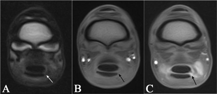 https://cdn.ncbi.nlm.nih.gov/pmc/blobs/4f7f/12345494/faff6cac56ea/animals-15-02250-g003.jpg