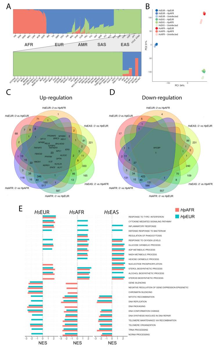 https://cdn.ncbi.nlm.nih.gov/pmc/blobs/4f7f/7912213/a47b4fc9c3ea/microorganisms-09-00240-g001.jpg