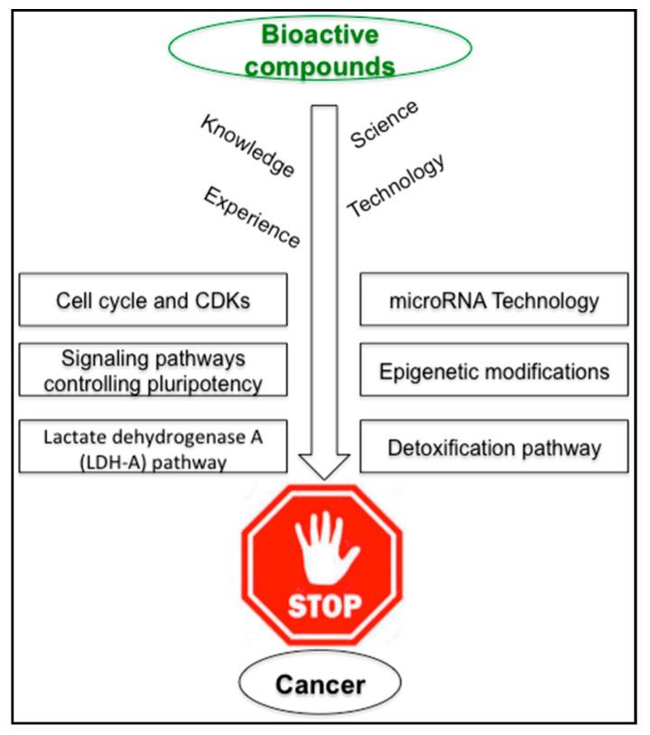 https://cdn.ncbi.nlm.nih.gov/pmc/blobs/4f80/5666732/377eada766e6/ijms-18-02050-g002.jpg