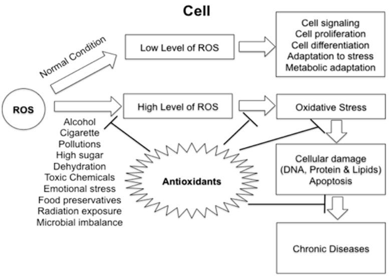 https://cdn.ncbi.nlm.nih.gov/pmc/blobs/4f80/5666732/d7b7f3f364d1/ijms-18-02050-g001.jpg