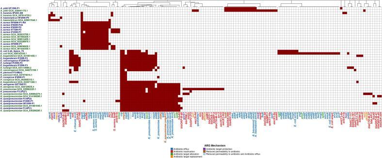 https://cdn.ncbi.nlm.nih.gov/pmc/blobs/4f81/12275766/56b65bd0d066/gr3.jpg