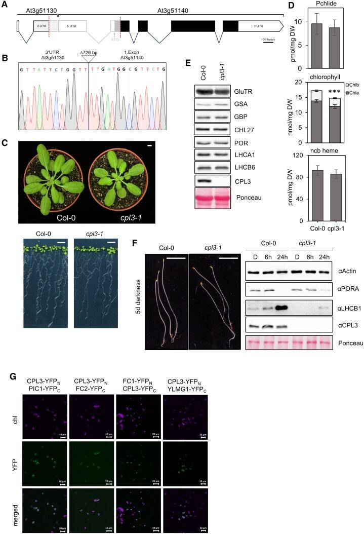 https://cdn.ncbi.nlm.nih.gov/pmc/blobs/4f81/12343060/ff57ab6115ea/kiaf343f2.jpg