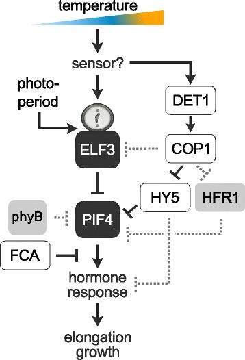 https://cdn.ncbi.nlm.nih.gov/pmc/blobs/4f81/4535396/5a7e0b999bdf/12870_2015_566_Fig5_HTML.jpg