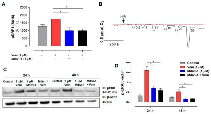 https://cdn.ncbi.nlm.nih.gov/pmc/blobs/4f82/11942190/a96bd496e15c/ijms-26-02675-g004.jpg